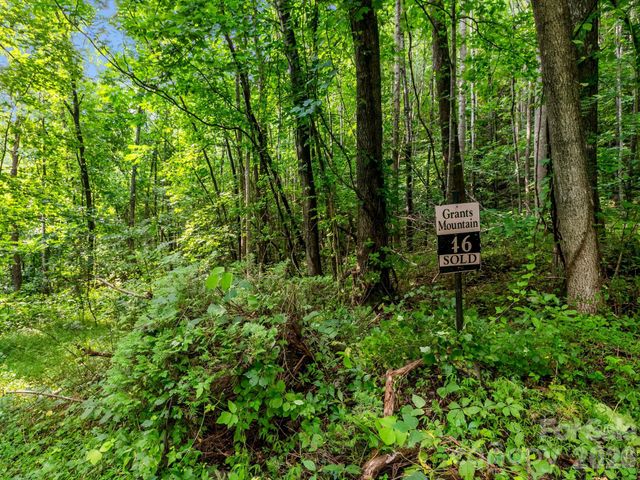 999 South View Court 46, Marion, NC 28752