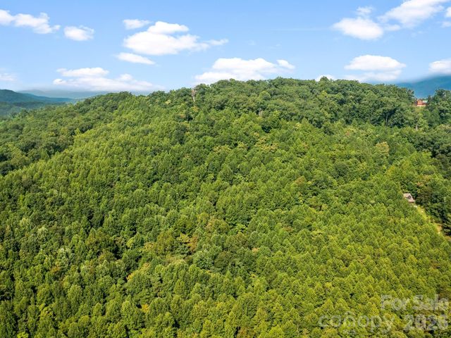 999 South View Court 46, Marion, NC 28752
