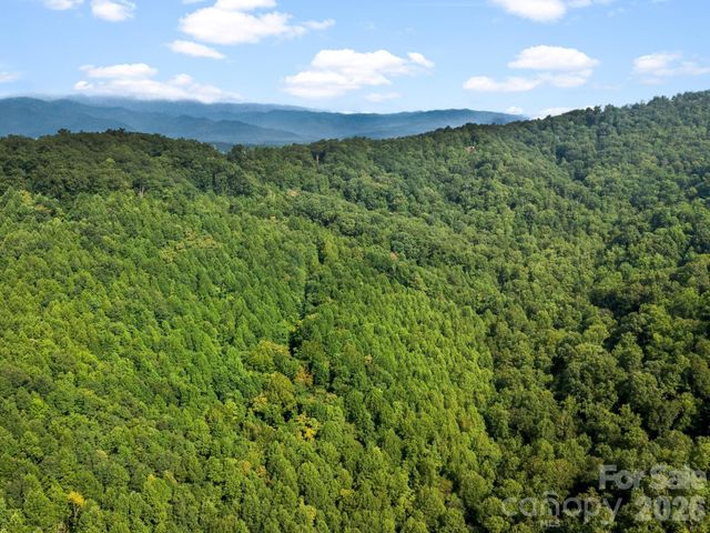 999 South View Court 46, Marion, NC 28752