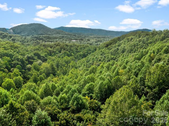 999 South View Court 46, Marion, NC 28752