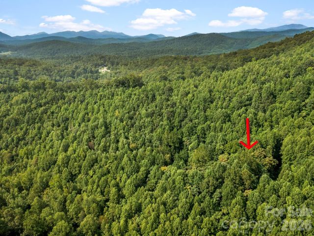 999 South View Court 46, Marion, NC 28752