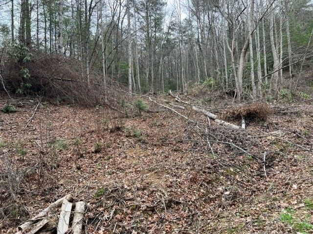 3 Coy Rhea Way, Sevierville, TN 37876
