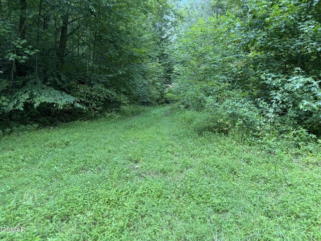 3 Coy Rhea Way, Sevierville, TN 37876