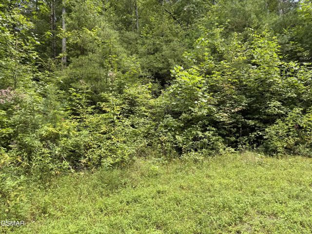3 Coy Rhea Way, Sevierville, TN 37876