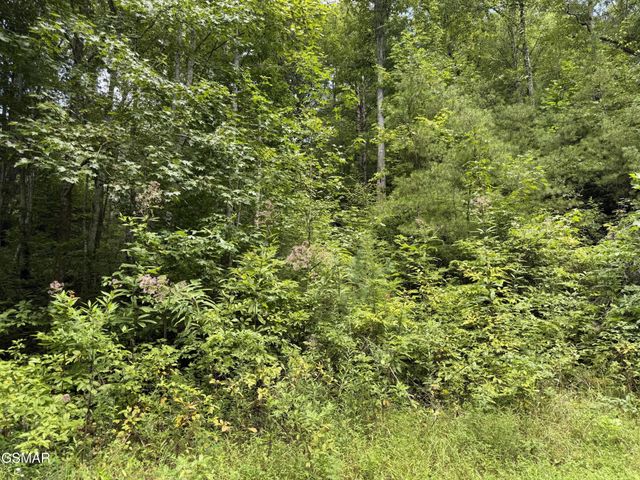3 Coy Rhea Way, Sevierville, TN 37876