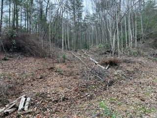 3 Coy Rhea Way, Sevierville, TN 37876