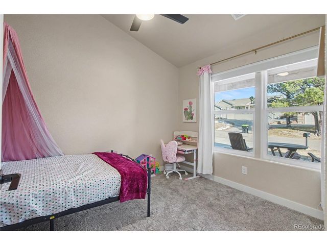 816 Meadow Ln, Palmer Lake, CO 80133