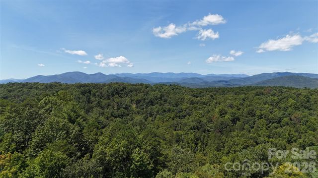 77 Raccoon Ridge, Marion, NC 28752