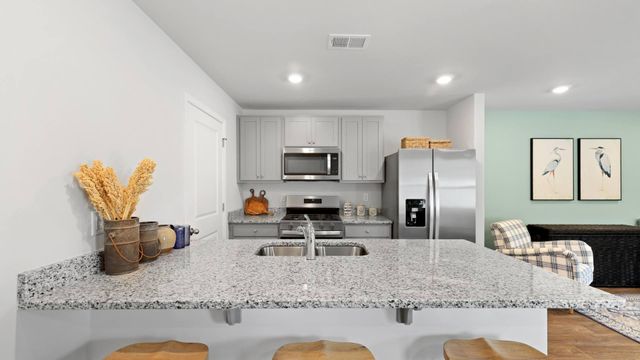 135 Mims Academy Drive, Harleyville, SC 29448