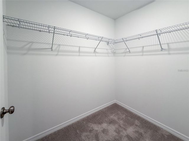 15116 WINDFLOWER ALY, Winter Garden, FL 34787