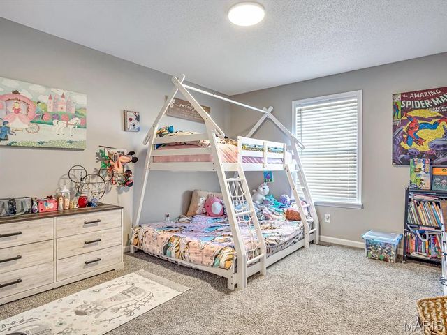 30 Black Wolf Run, Highland, IL 62249