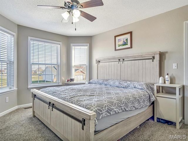 30 Black Wolf Run, Highland, IL 62249