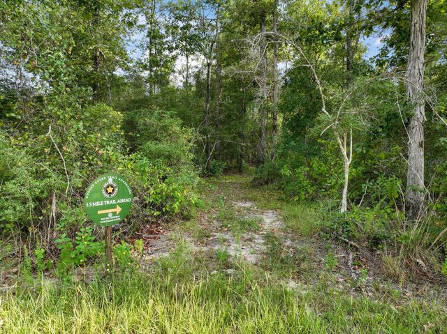 15824 Republic Ranch Road N, Willis, TX 77378