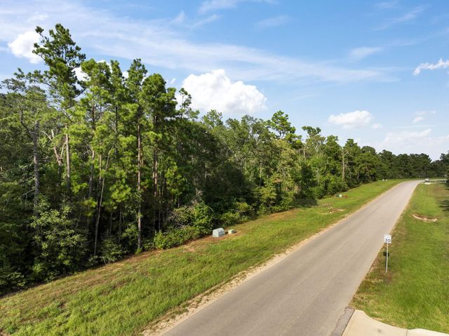 15824 Republic Ranch Road N, Willis, TX 77378