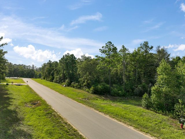 15824 Republic Ranch Road N, Willis, TX 77378