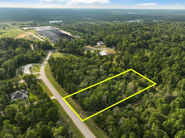 15824 Republic Ranch Road N, Willis, TX 77378