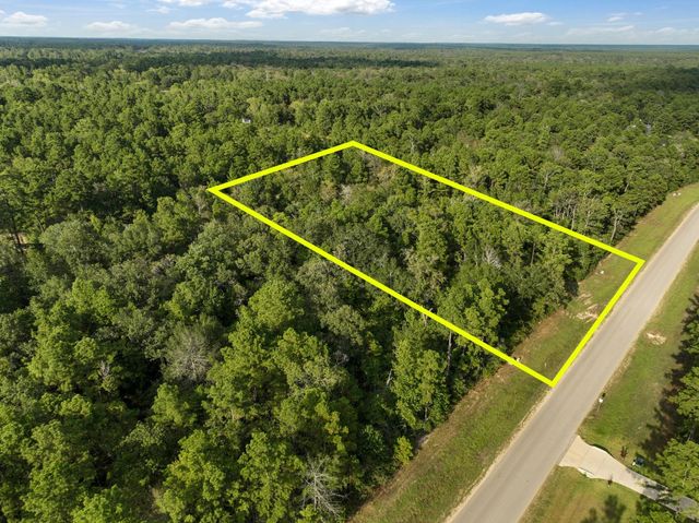 15824 Republic Ranch Road N, Willis, TX 77378