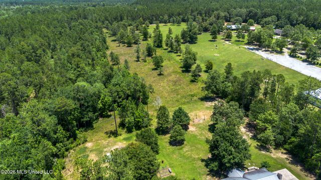 17242 E Spring Lake Drive, Vancleave, MS 39565