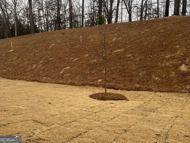 5877 Cabernet Lane, Braselton, GA 30517