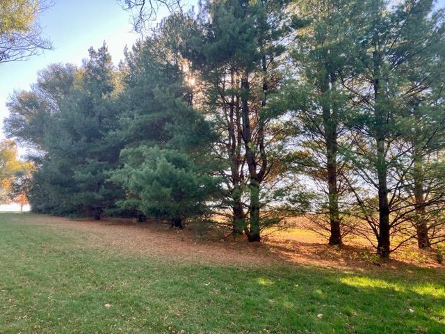 7561 W Judson Road, Polo, IL 61064