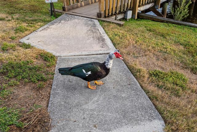 6438 93RD TERRACE N 603, Pinellas Park, FL 33782