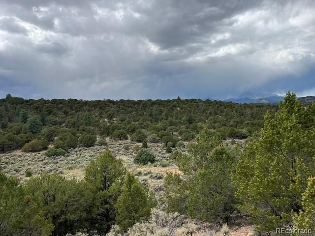 Lot 7840 Richard Road, Fort Garland, CO 81133