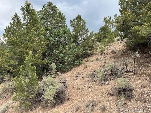 Lot 7840 Richard Road, Fort Garland, CO 81133