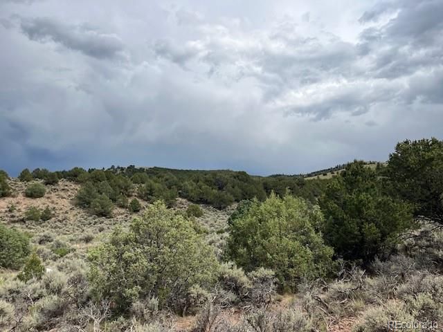 Lot 7840 Richard Road, Fort Garland, CO 81133