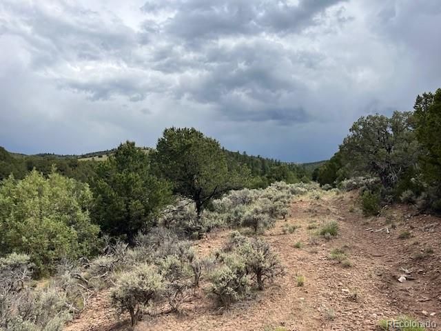 Lot 7840 Richard Road, Fort Garland, CO 81133