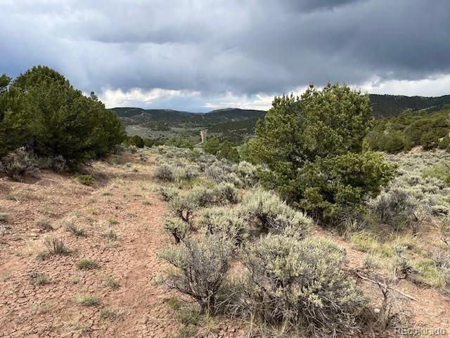 Lot 7840 Richard Road, Fort Garland, CO 81133