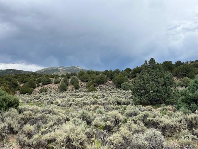 Lot 7840 Richard Road, Fort Garland, CO 81133