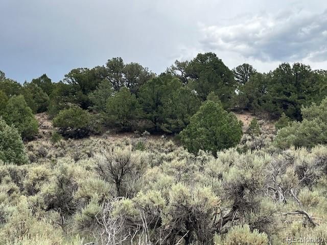 Lot 7840 Richard Road, Fort Garland, CO 81133