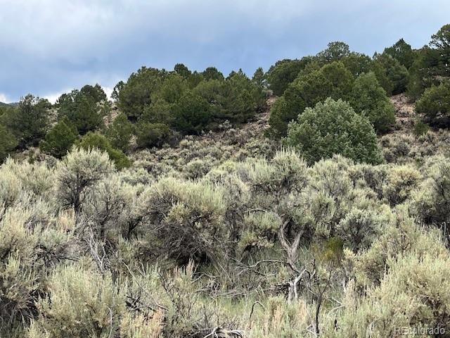 Lot 7840 Richard Road, Fort Garland, CO 81133