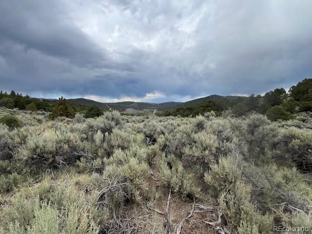 Lot 7840 Richard Road, Fort Garland, CO 81133