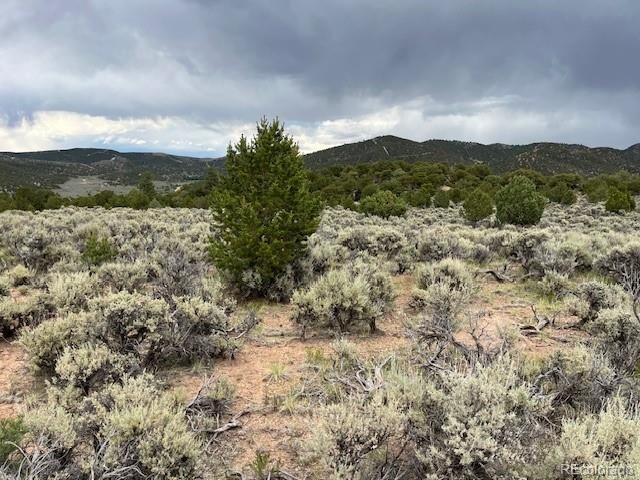 Lot 7840 Richard Road, Fort Garland, CO 81133