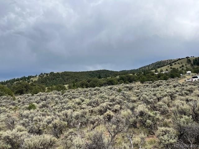 Lot 7840 Richard Road, Fort Garland, CO 81133