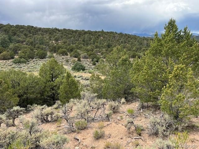 Lot 7840 Richard Road, Fort Garland, CO 81133