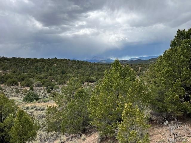 Lot 7840 Richard Road, Fort Garland, CO 81133