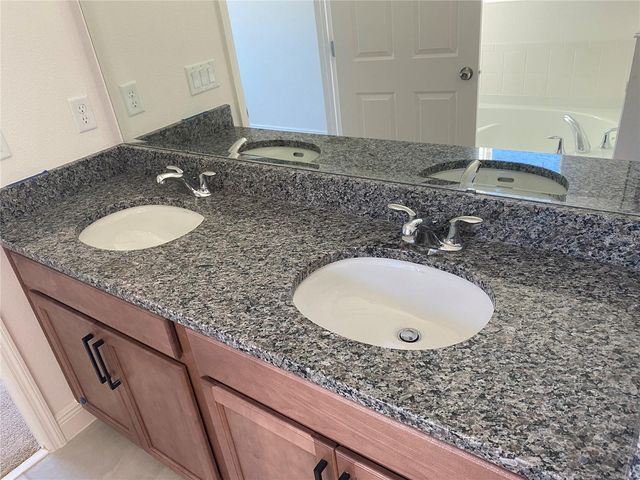 4842 GILDED JEWEL DRIVE, Mount Dora, FL 32757