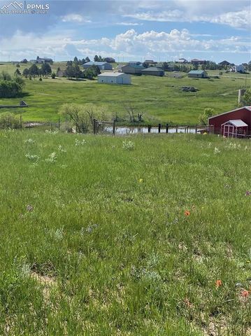 13435 Hodgen Road, Elbert, CO 80106