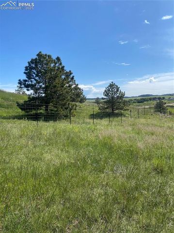 13435 Hodgen Road, Elbert, CO 80106