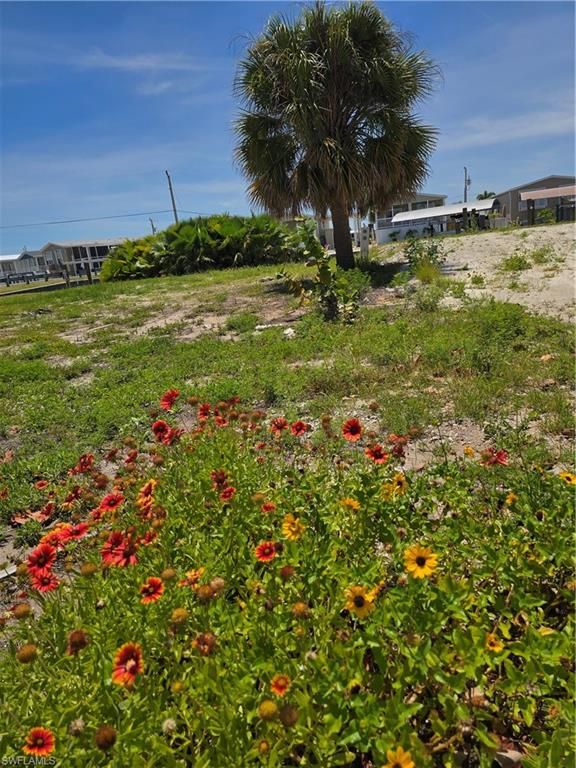 3063 YORK RD, ST. JAMES CITY, FL 33956 — photo 4