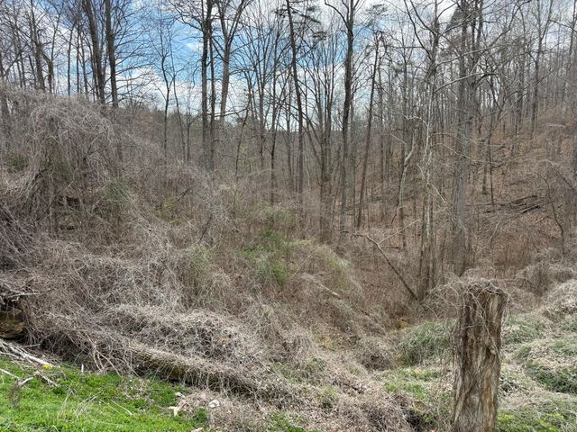 Lot 1 Phase 2 Stearns Hollow Road, Monticello, KY 42633