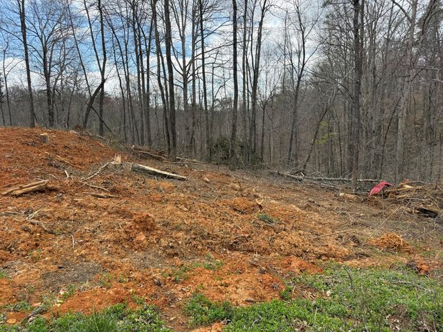 Lot 1 Phase 2 Stearns Hollow Road, Monticello, KY 42633