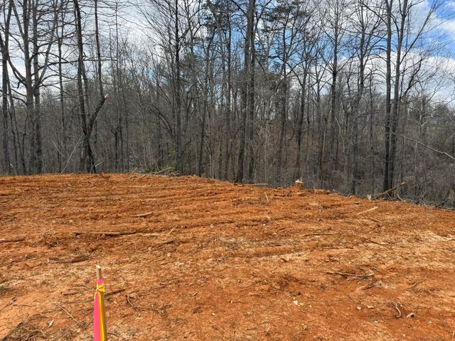 Lot 1 Phase 2 Stearns Hollow Road, Monticello, KY 42633