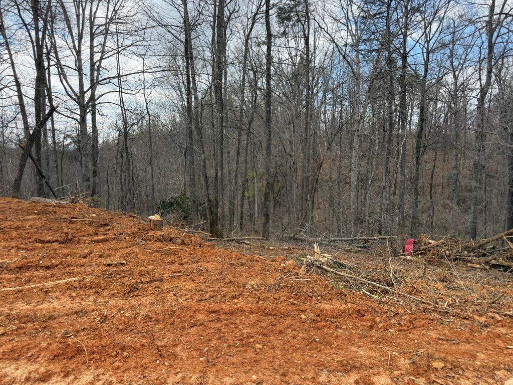 Lot 1 Phase 2 Stearns Hollow Road, Monticello, KY 42633