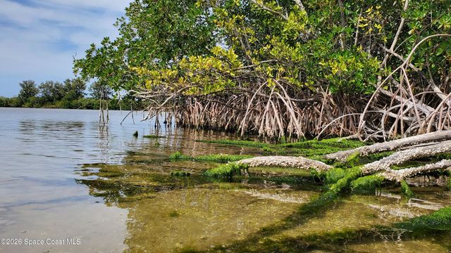 8401 N Atlantic Avenue D1, Cape Canaveral, FL 32920