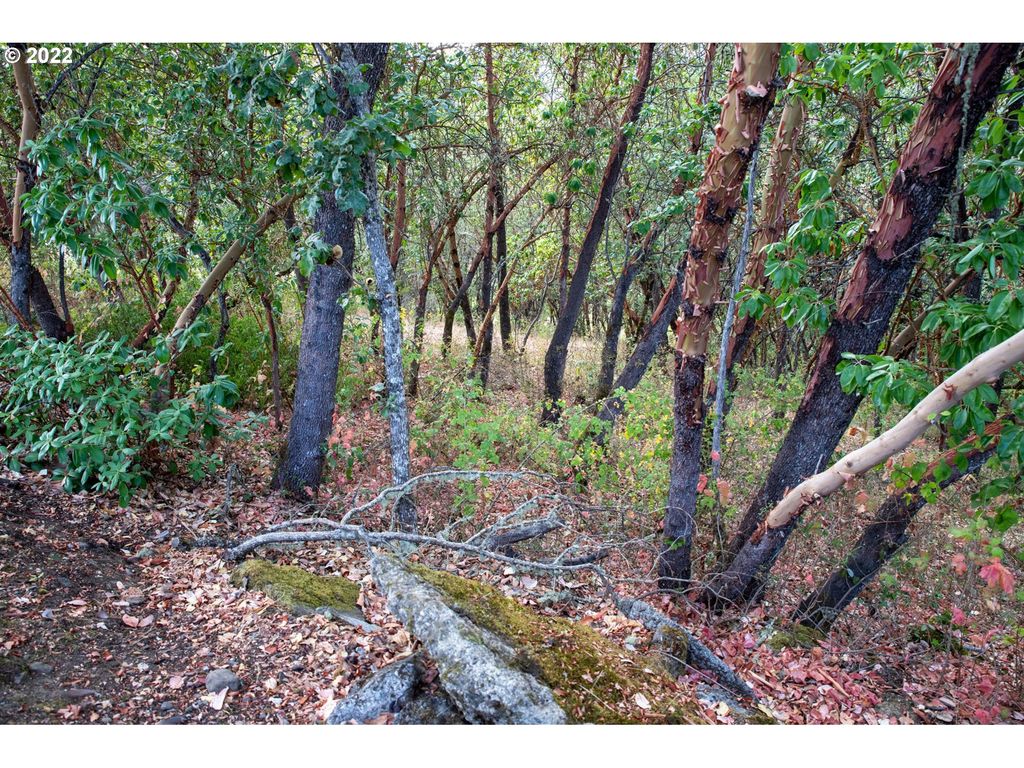 0 NORTH Ct, Riddle, OR 97469