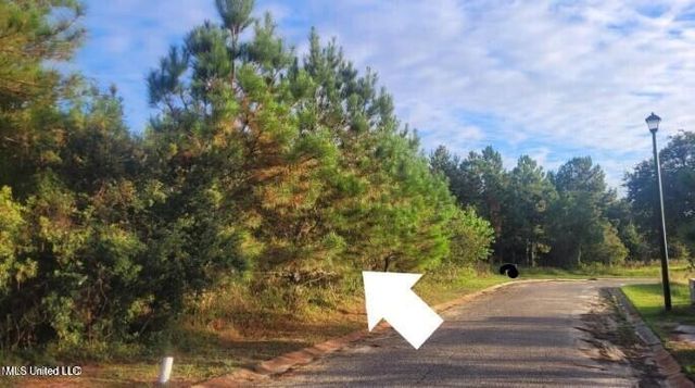 Pelican Cove Lane, Long Beach, MS 39560