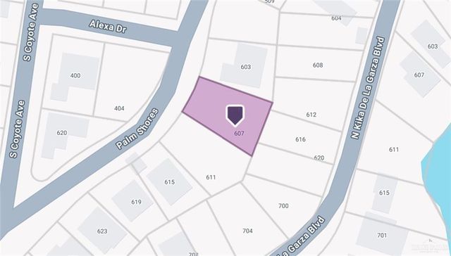 00 Palm Shores, La Joya, TX 78574